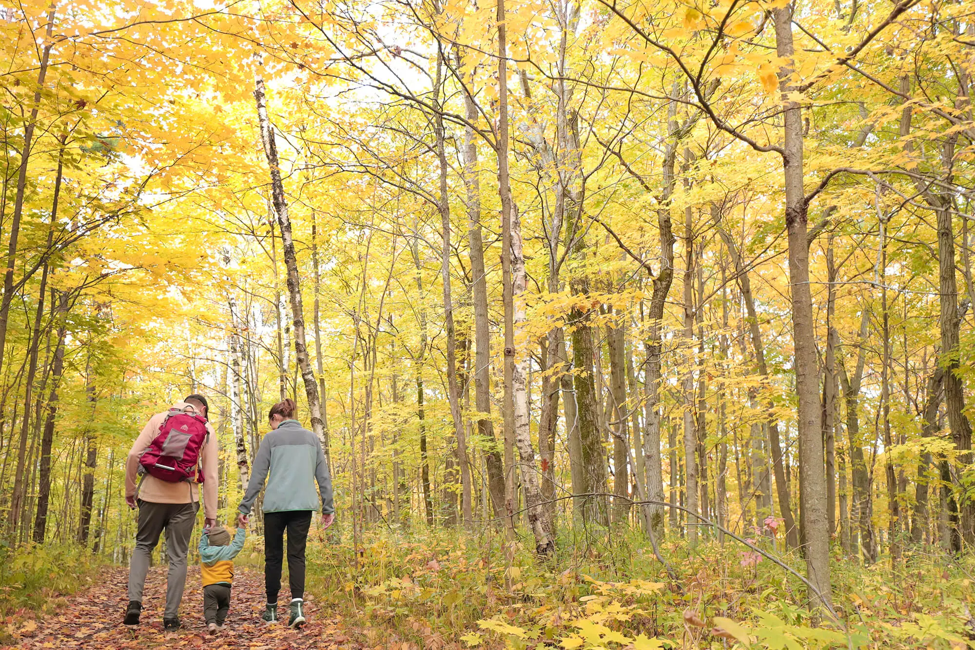 Trail Hub Uxbridge Fall 2022 (6)-lr