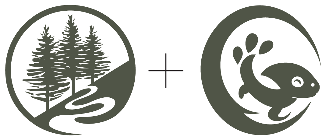 TrailHub-GreenNewton-TH-Green
