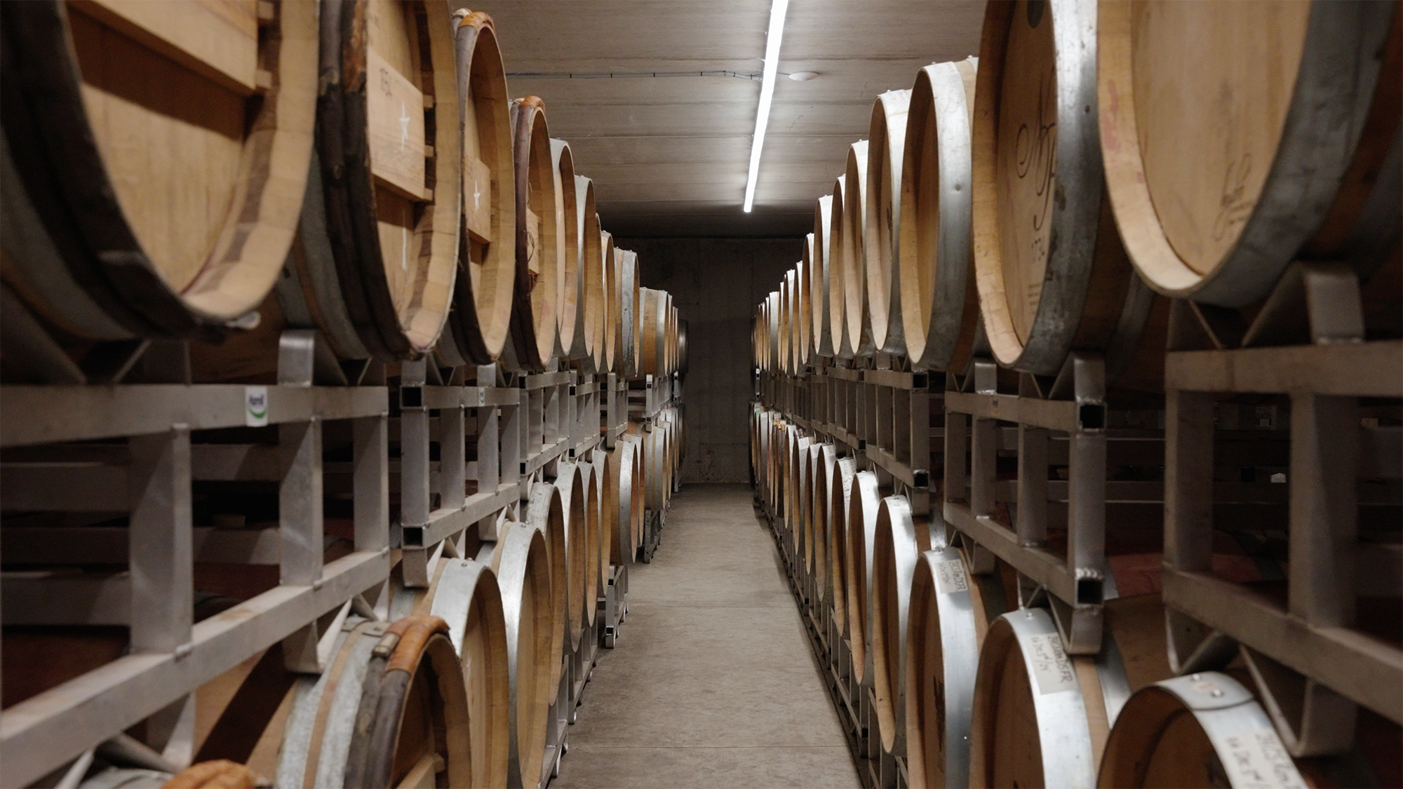 wine7