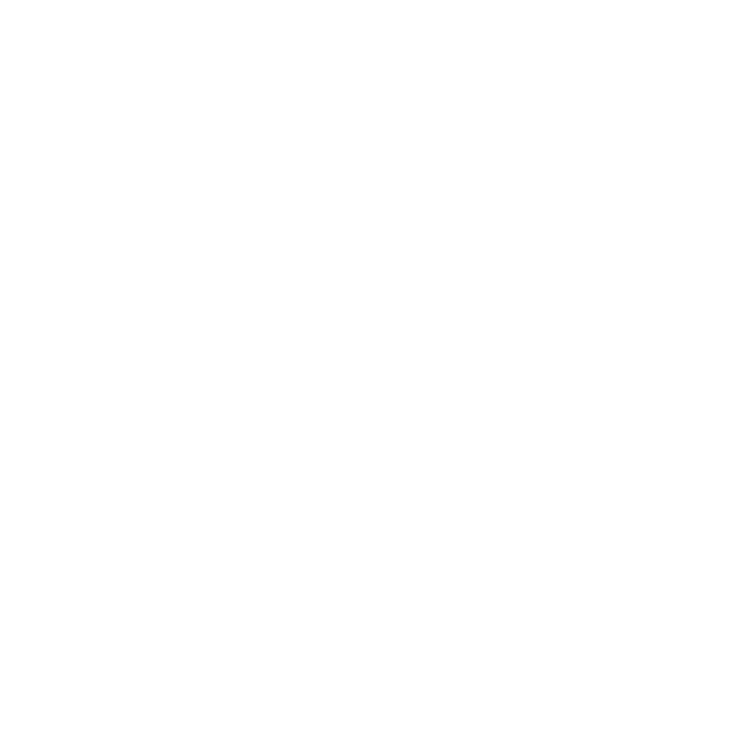 Country Night NYE Logo